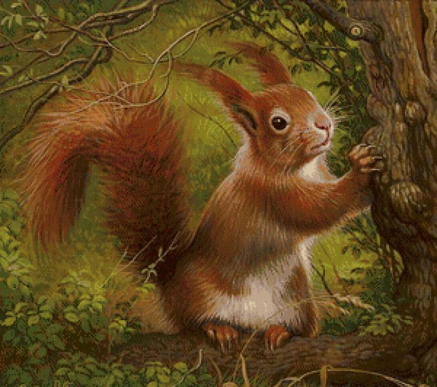 Серия "Лесные жители" - предпросмотр