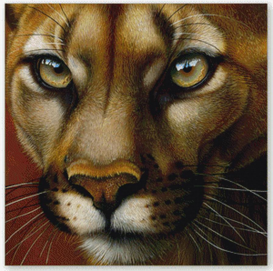 красивая киса - хищник, кошка - предпросмотр