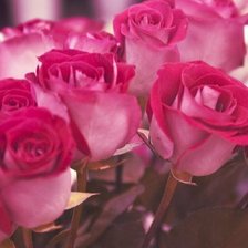 Схема вышивки «№981243»