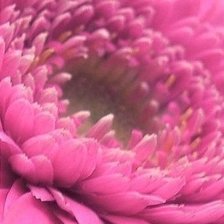 Схема вышивки «№981246»