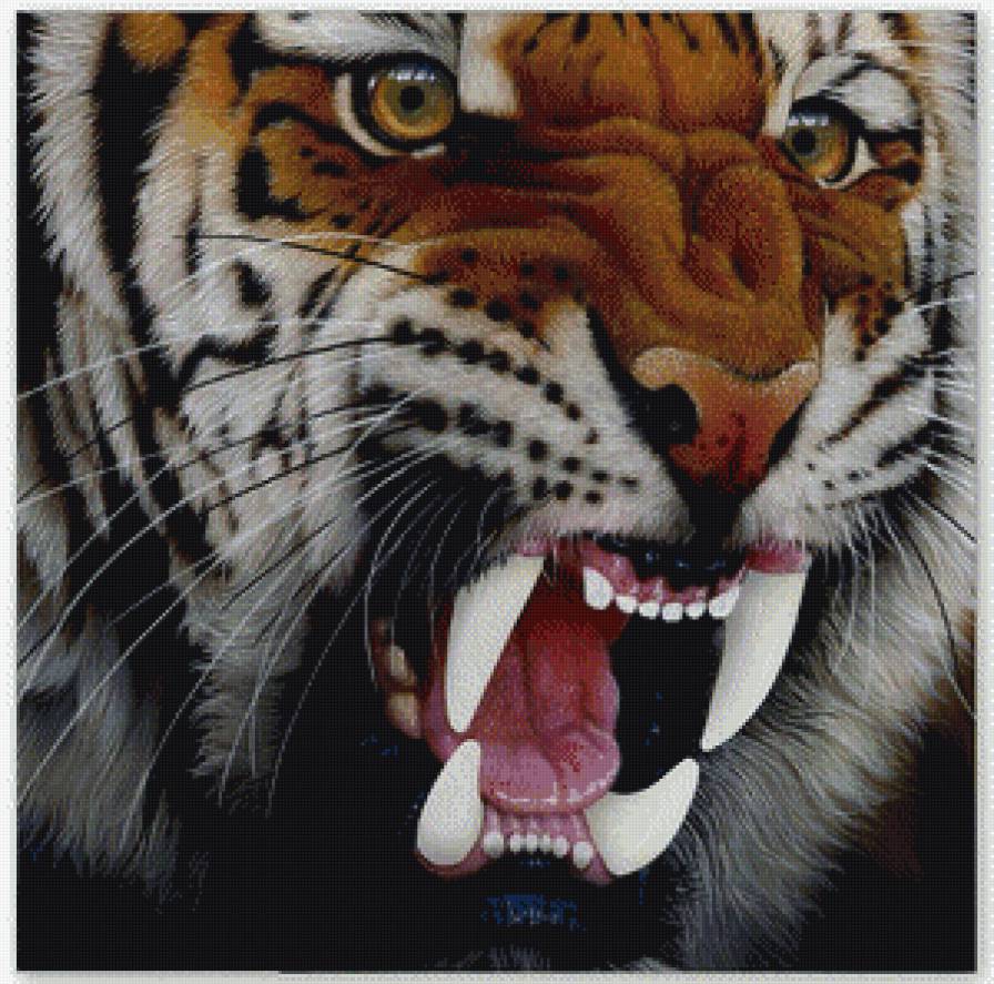 тигруля - хищник, тигр - предпросмотр