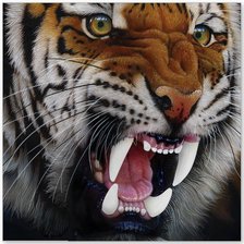 Схема вышивки «тигруля»