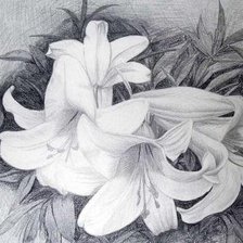 Схема вышивки «№981399»