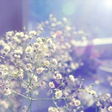 Схема вышивки «№981486»