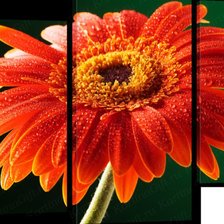 Схема вышивки «триптих»