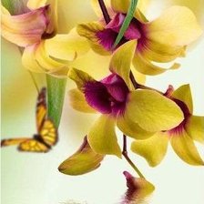 Схема вышивки «цветы и бабочка»