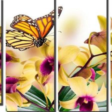 Схема вышивки «цветы и бабочка»