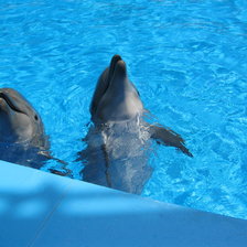 Схема вышивки «дельфины»