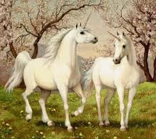 Схема вышивки «единороги»