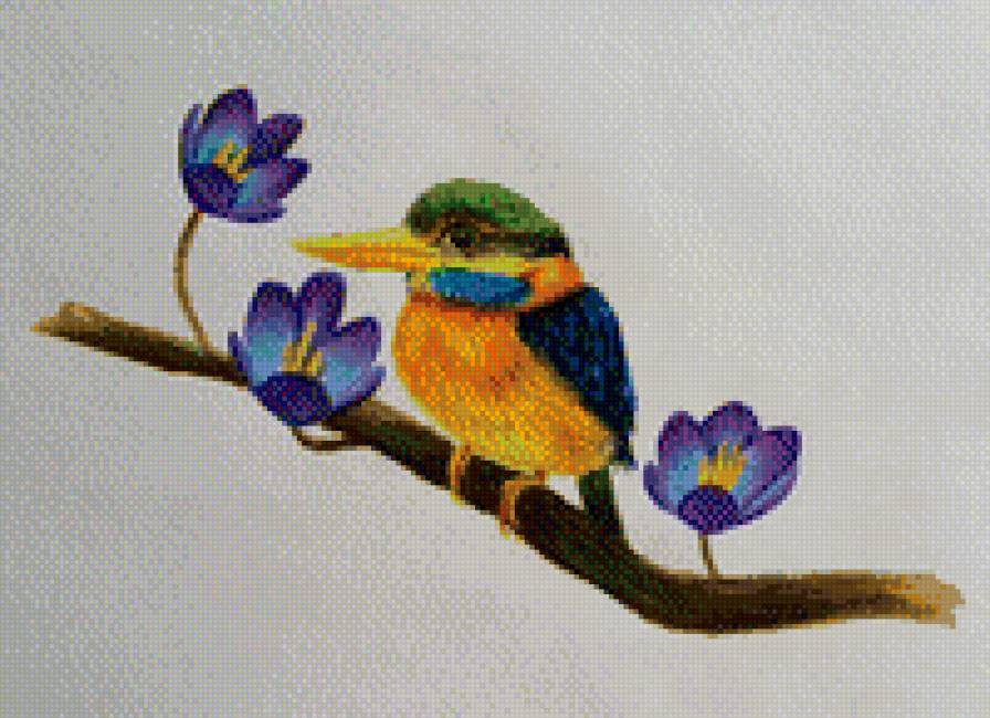 птица 1 - экзотика, птица - предпросмотр