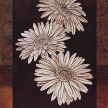 Схема вышивки «герберы»