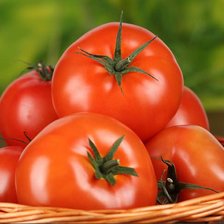 Схема вышивки «помидоры»