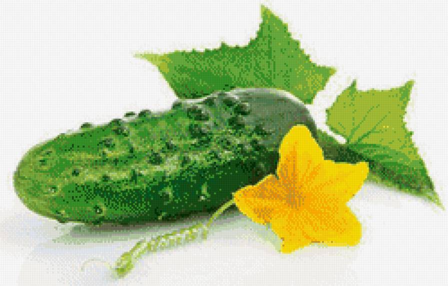 огурчик - овощи - предпросмотр