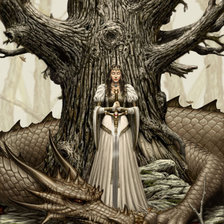 Схема вышивки «маг и дракон»