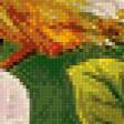 Предпросмотр схемы вышивки «Серия "Пернатые" Райские птички"» (№982841)