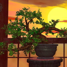 Схема вышивки «Бонсай»