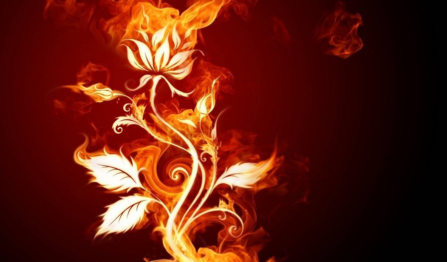Огненный цветок-5 - оригинал