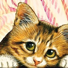 Схема вышивки «Домашние любимцы»