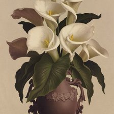 Схема вышивки «калы»