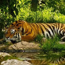 Схема вышивки «№983560»