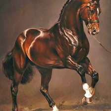 Схема вышивки «Серия "Лошади, кони"»