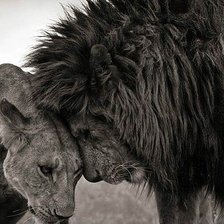 Схема вышивки «№983589»