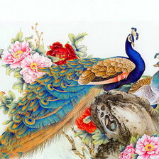 Схема вышивки «Восточные павлины»