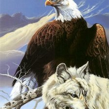 Схема вышивки «Орёл и волк»