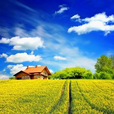 Домик в деревне