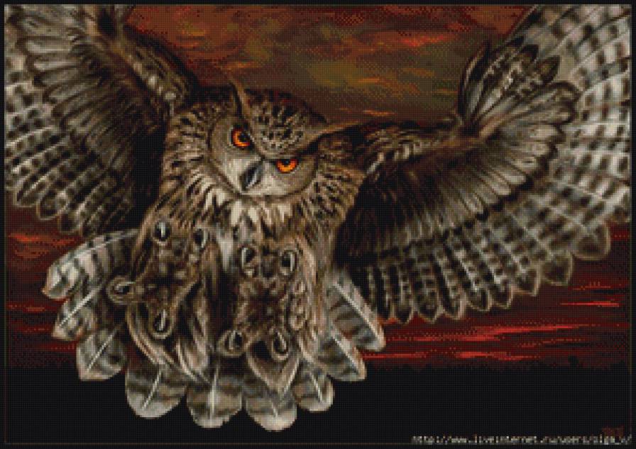 филин - сова, филин, птица - предпросмотр