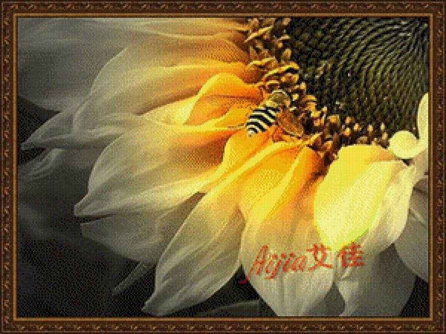 подсолнух - подсолнух, цветы, насекомые, пчела - предпросмотр