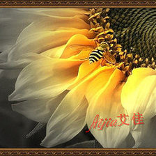 Схема вышивки «подсолнух»