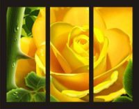 Схема вышивки «Триптих " Роза"»