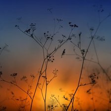 Схема вышивки «sunset»