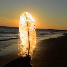 Схема вышивки «солнечное перо»