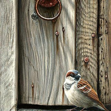 Схема вышивки «Серия "Пернатые" Заброшенный дом"»