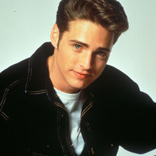 Схема вышивки «джейсон пристли»