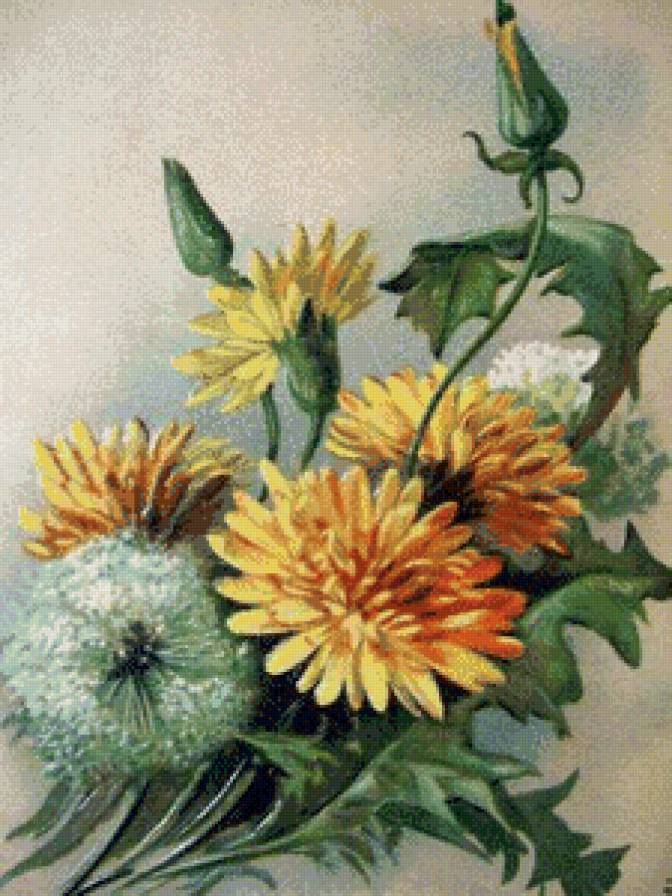 Букет с одуванчиками - цветы, букет, одуванчик - предпросмотр