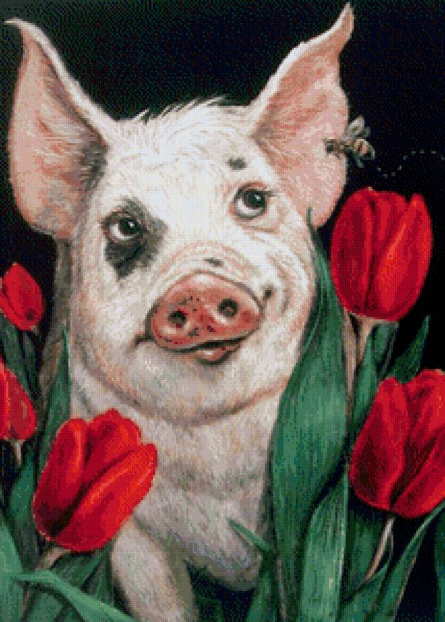 Домашние любимцы - домашние любимцы - предпросмотр