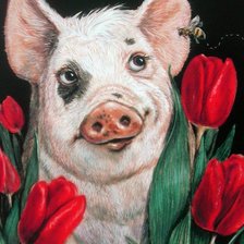 Схема вышивки «Домашние любимцы»