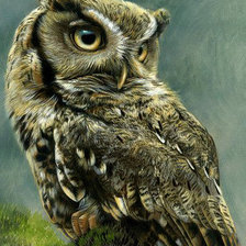 Схема вышивки «Серия "Пернатые"»