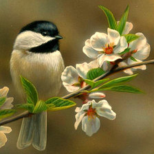 Схема вышивки «Серия "Пернатые"»