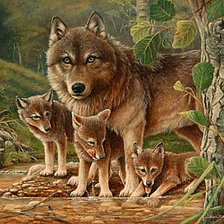 Схема вышивки «Серия "Дикая природа"»