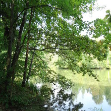 Схема вышивки «Летняя тишина»