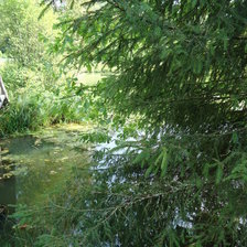 Схема вышивки «Летняя тишина»