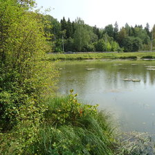 Схема вышивки «Летняя тишина»