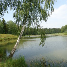 Схема вышивки «Березка у пруда»