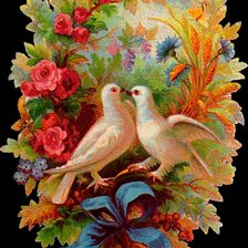 Схема вышивки «Голуби свадебные»