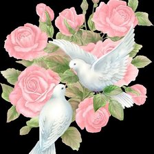 Схема вышивки «На свадьбу голуби»