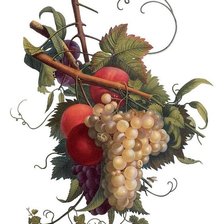 Схема вышивки «Гроздь винограда»